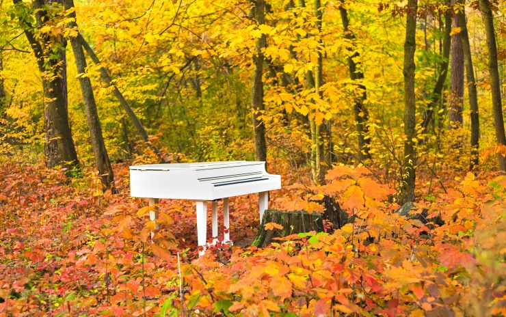 autunno in musica