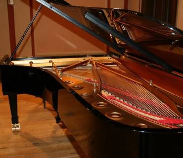 tecnica pianistica