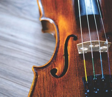 violino