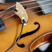 amplificare violino, pickup e violino elettrico