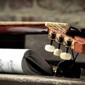 corde della chitarra