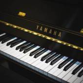 studio del pianoforte senza memoria muscolare