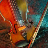 Lezioni di violino - 11. martellato e spiccato