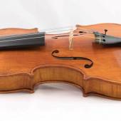violino vegano