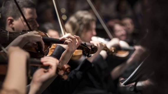 primo violino