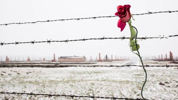 violino di Auschwitz